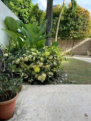 Bukit Timah Road (D10), Detached #447444031